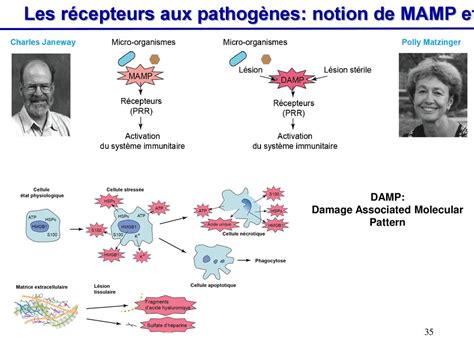 wikidamp|mamp et damp.
